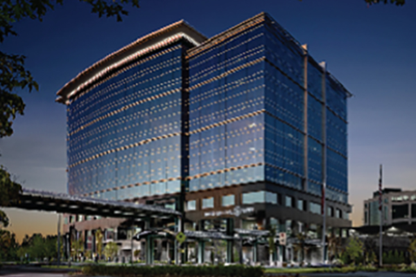 International Paper